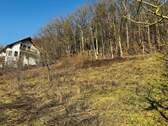 Grundstücksimpressionen im Winter - 