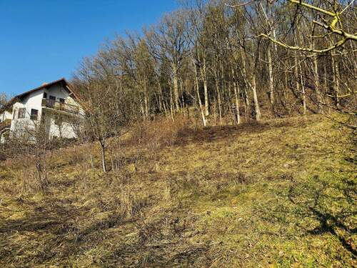 Grundstücksimpressionen im Winter - 
