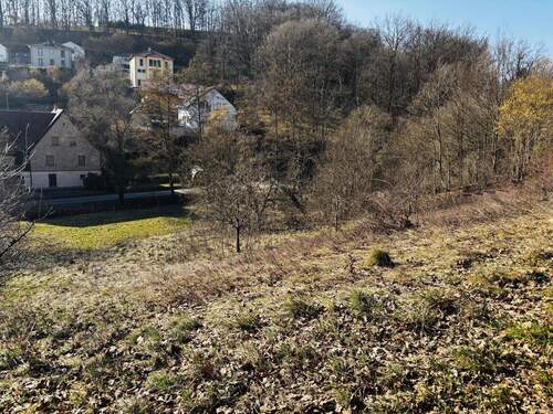 Grundstücksimpressionen im Winter - 