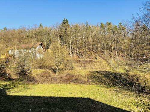 Grundstücksimpressionen im Winter / Ansicht von Westen zum Grundstück - 