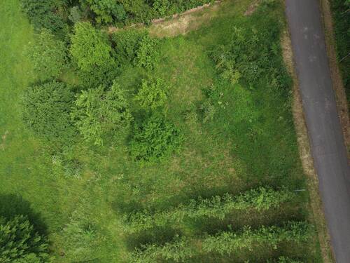 dji_fly_20260602_102430_0157_1780404108114_photo - 