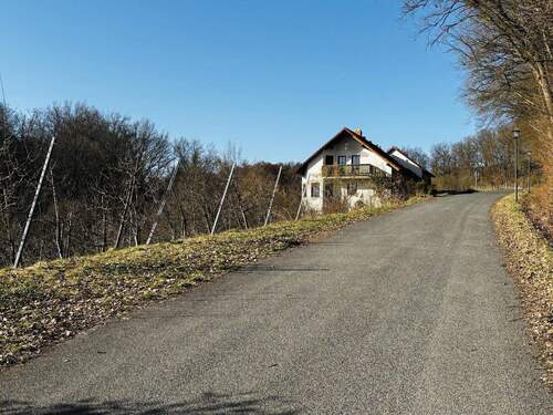 Grundstücksimpressionen im Winter / Zufahrt über die Straße 
