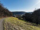 Ein besonderer Platz zum Leben... das herrliche Kirschental in Blickrichtung Gleisenau - 