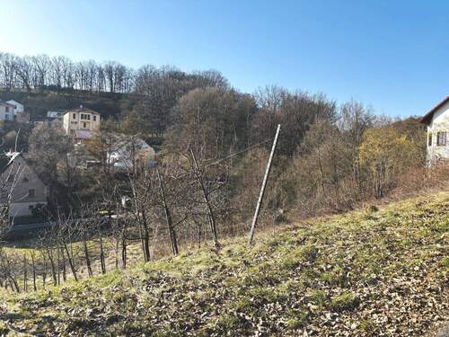 Ansicht - 