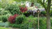 Garten - 