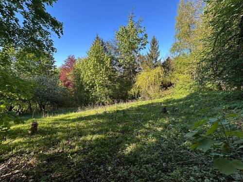 Garten - COBURG-FESTUNGSBERG, Freizeitgrundstück mit massivem Gartenhaus
