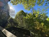 Ausblick vom Balkon - Grundstück in Coburg