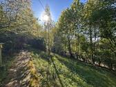 Wege im Garten - 