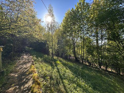 Wege im Garten - 