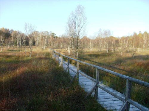 Wanderweg im Dosenmoor - 