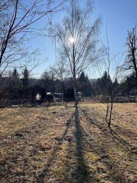 IMG_3353.jpg - Grundstück zum Kaufen in Klipphausen