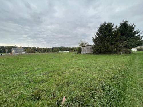 Grundstücksansicht links - Grundstück in Salmtal zum Kaufen