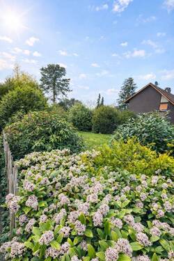 Ansicht zum rechten Garten neben dem Haus - Grundstück in Duisburg