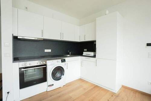 Einbauküche - 1 Zimmer Etagenwohnung zur Miete in Stein