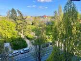 Blick auf den Bosepark - 