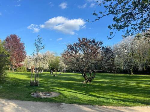 Bosepark - 