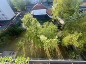 Blick in den Hinterhof/Garten - 