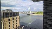 Blick zum Rhein - 