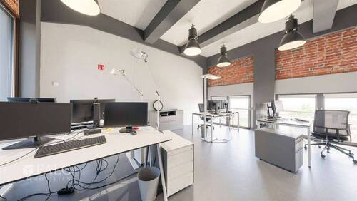 Büro 5 - 