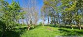 Naturgarten - 