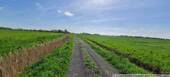 Zufahrt zum Gutshof - 