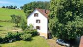 Ostseite mit alter Linde - 