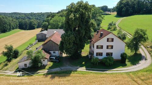 Alte Linde Westansicht - 7 Zimmer Bauernhaus, Landhaus zum Kaufen in Dietfurt