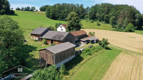 Blick Richtung Südwest - 7 Zimmer Bauernhaus, Landhaus in Dietfurt