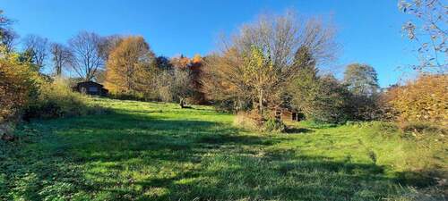 Garten im Herbst - 