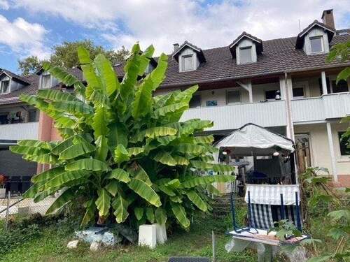 Garten - 6 Zimmer Reihenmittelhaus in Lahr