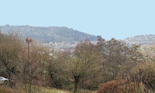 Aussicht - 6 Zimmer Einfamilienhaus zum Kaufen in Wilhelmsfeld