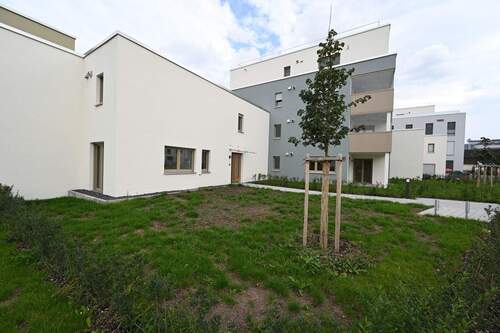 Wunderbare Spielfläche - 5 Zimmer Mehrfamilienhaus, Wohnhaus in Neumarkt
