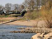 Rheinlage - 