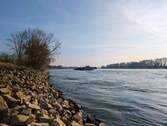 Rhein - 