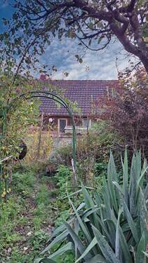 Rückansicht vom Garten - 