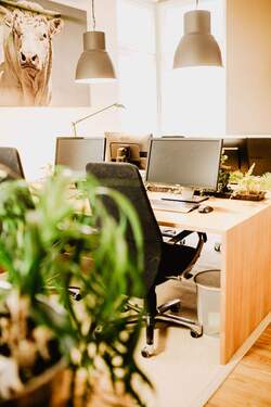 Einzelarbeitsplatz im Gemeinschaftsbüro - Büro zur Miete in Bielefeld