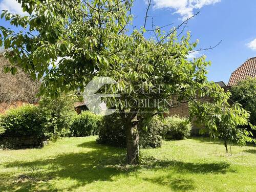 210.Grundstück (4) - 