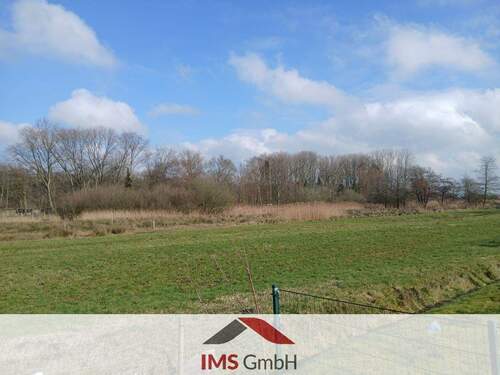 Blick über Felder und Wiesen - Einfamilienhaus mit 154,00 m&sup2; in Weener zum Kaufen