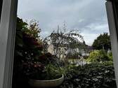Blick zur Straße - 