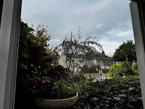 Blick zur Straße - 