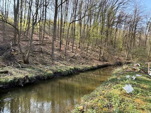 Blick auf den Fluss Röden - 