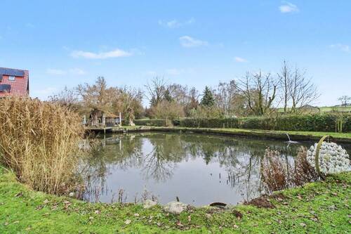 Teich - 