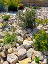 Gartendetail - 