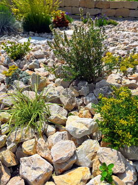 Gartendetail - 