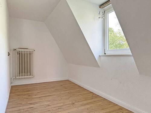 Zimmer DG3 - 