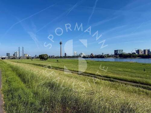 50 m zu den Rheinwiesen - 