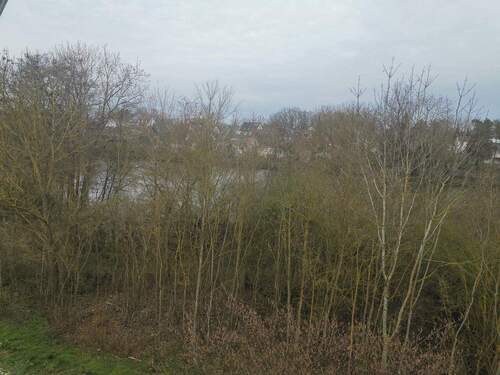 Blick auf den Weiher - 