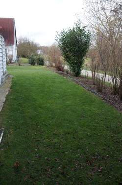 Blick in den Garten - 