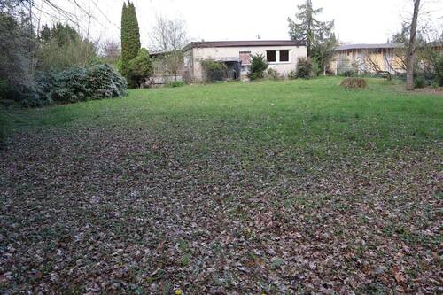 Blick vom Garten - 
