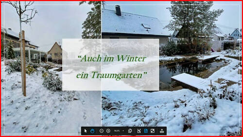 Winter - 